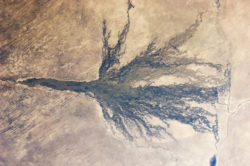 The Jewel of the Kalahari.The Okevango Delta in Namibia and Botswana delta receives the rain from a 