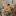 vive-la-revolution:hey reblog if you believe that having a different romantic orientation than your sexual orientation is perfectly okay and valid. i want to see something. 