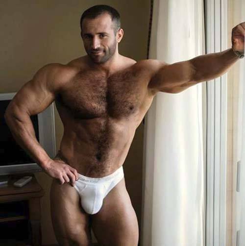 Hairy gay mature dilf