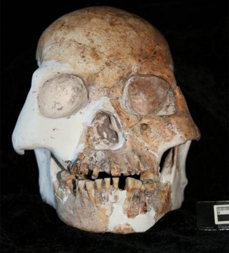 Skull of “the people of the red deer cave”, the youngest known prehistoric population who do not look like modern humans (fossils dated between 14,500 and 11,500 years old), unearthed in some caves in the Guangxi Zhuang region of China.