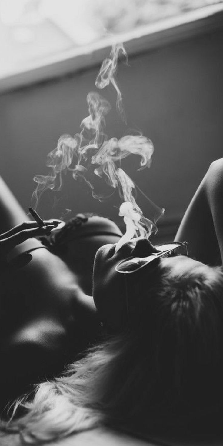 trippyhaze420x:  