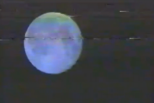 wastedyouth