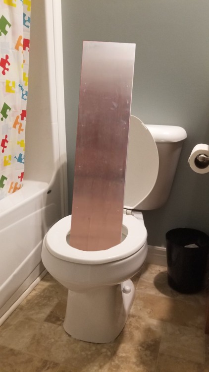 chumbawumba12345:5mil-sharts:fartgallery:okay, who tf put this monolith in my toilet?   op acting like they can fool us into thinking they didn’t shit out an entire monolith   ￼