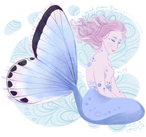 My favourite mermaid so far, also inspired by a butterfly. I’ve been posting all my drawings here: h