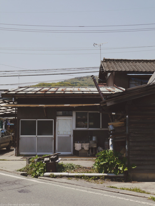 今井、長野、日本、2014． Imai, Nagano, Japan, 2014.