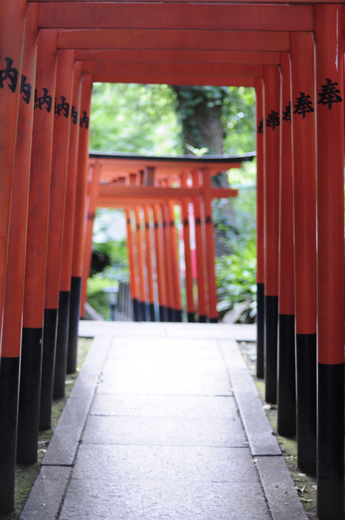 ourbedtimedreams:   	A walk around Ueno, Tokyo. by Meg Yamagute    