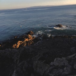 thoughtcrime-s:  Pirates Cove || San Luis Obispo, CA