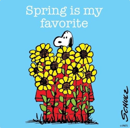 charliebrown101:#spring