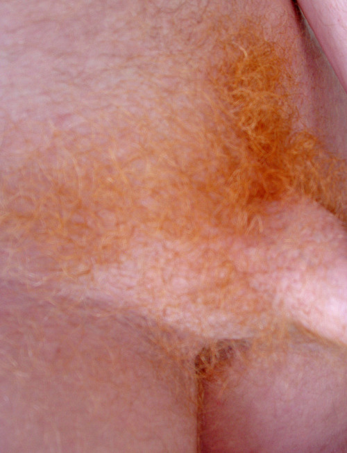 nekkid-me:  nekkid-me:  mygingerpubes: Thanks for submitting. I’d forgotten about these - two 