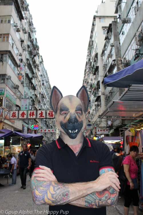 Porn photo Hong Kong Pup! Love this vibrant city!You