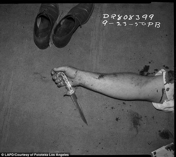 exitinsistexist:  What you see above are photos that were created from negatives