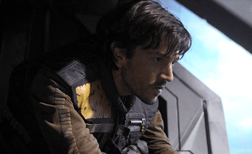 bruce-wayne:Congratulations to Diego Luna who will reprise his role as Cassian Andor in a new Star W