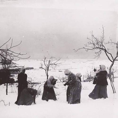 XXX Palestinian women playing in snow Nudes & photo