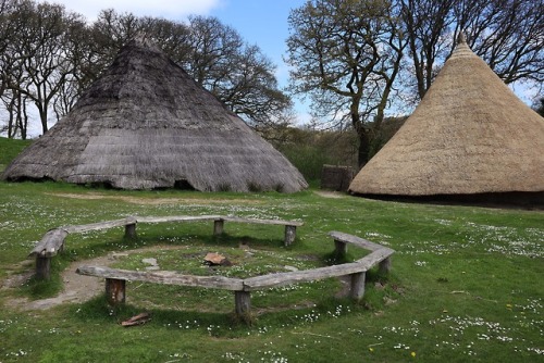 Castell Henllys Iron Age Settlement, Pembrokeshire, South Wales, 5.5.18.Reconstructed roundhouse com