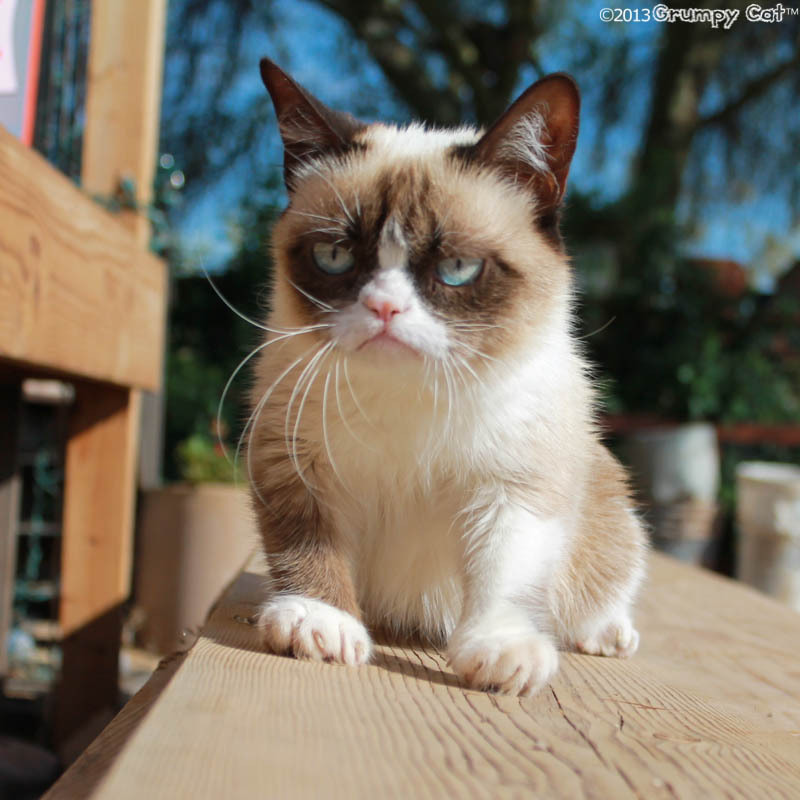 The Daily Grump | June 8, 2013