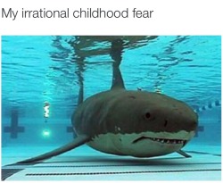 saulmondigivolves:  untexting:  SAME  Especially at night when the pool is dark and you freak out seeing the darkness