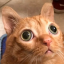 drflanflan