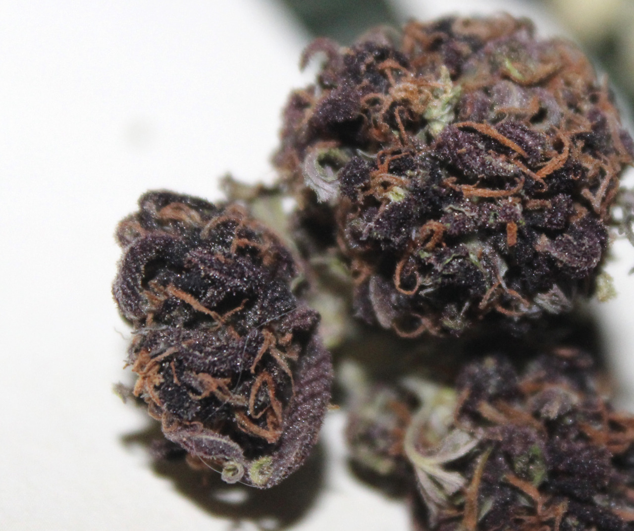blazedtilldeath:    