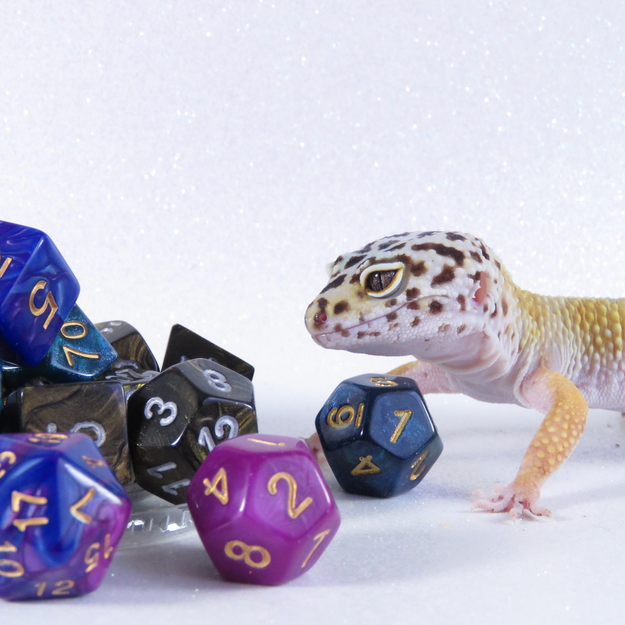 kobaltkreations: demonelfknight:   boxodice:   Dragon Hoard- Apollo. She’s a tricky