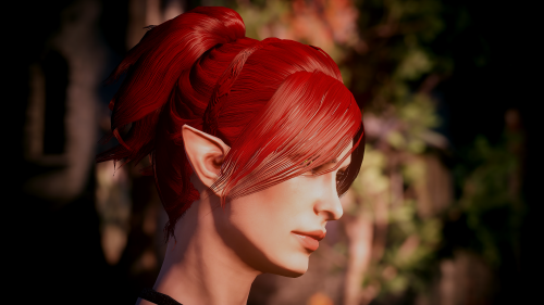 Shira Lavellan - elf archer.  We went through a lot together. And I havent done Trespasser with