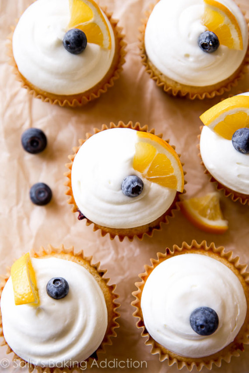 Meyer lemon blueberry cupcakes