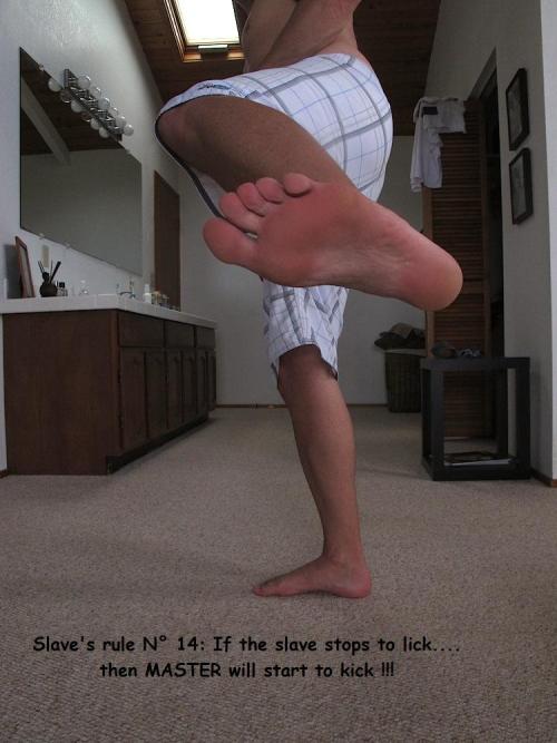 fussimnacken: Teach your slaves simple, basic rules of behavior