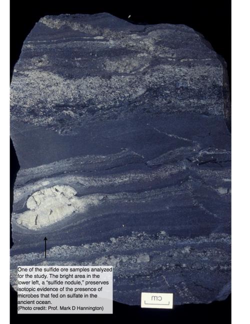 ANCIENT ORES GIVE CLUES TO EARLY LIFEScientists probing a Canadian sulphide ore have confirmed that 