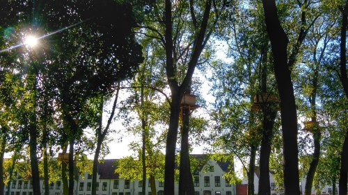 Our own little walking tour after the walking tour: Madonna of Bruges, a sculpture by Michaelangelo;