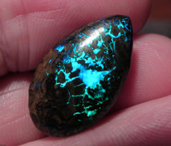 rknjl:  lizardtakesflight:  Australian Opals from Planet Opal  Nah son, those are dragon eggs.   Y'know what, now whenever I see a cool gemstone my first thought is &ldquo;Wow, that would make an awesome Crystal Gem!&rdquo;