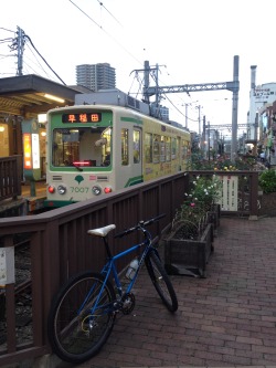 xizang325:  ２０１４・１１・２　下町散策  都電荒川線　三ノ輪橋 