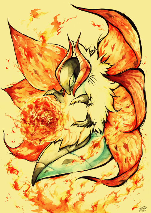 pokemondaycares:  Volcarona by Rikusu 