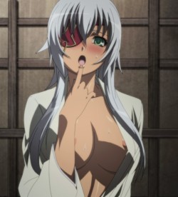 sweett666:  Yagyuu Gisen Hyakka Ryouran Samurai Girls 