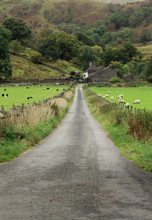 4himglory:  travelingcolors:  Pooley Bridge, Glenridding | England (by Ann Cameron)