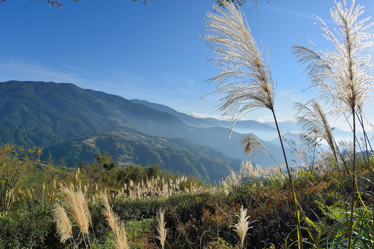 90377:   Mountain landscape in the Hsinchu,Taiwan. 山上風景-新竹五峰天湖