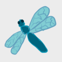 dragonfly-general avatar