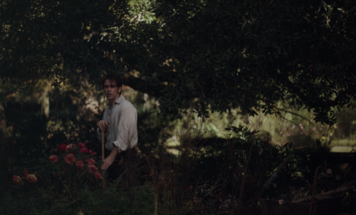 moviesframes:The Beguiled (2017)Directed by Sofia CoppolaCinematography by Philippe Le Sourd