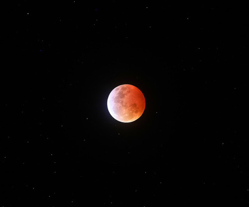 astronomyblog: Lunar Eclipse 2019Image credit: Joseph Brimacombe