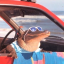 dangerouspandapost