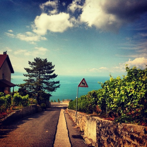 and-the-blackhearts:  Roadtrip around the lake 