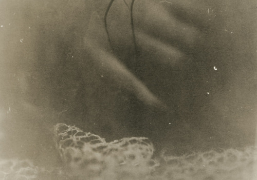 caosarto:  Ellen Rogers 