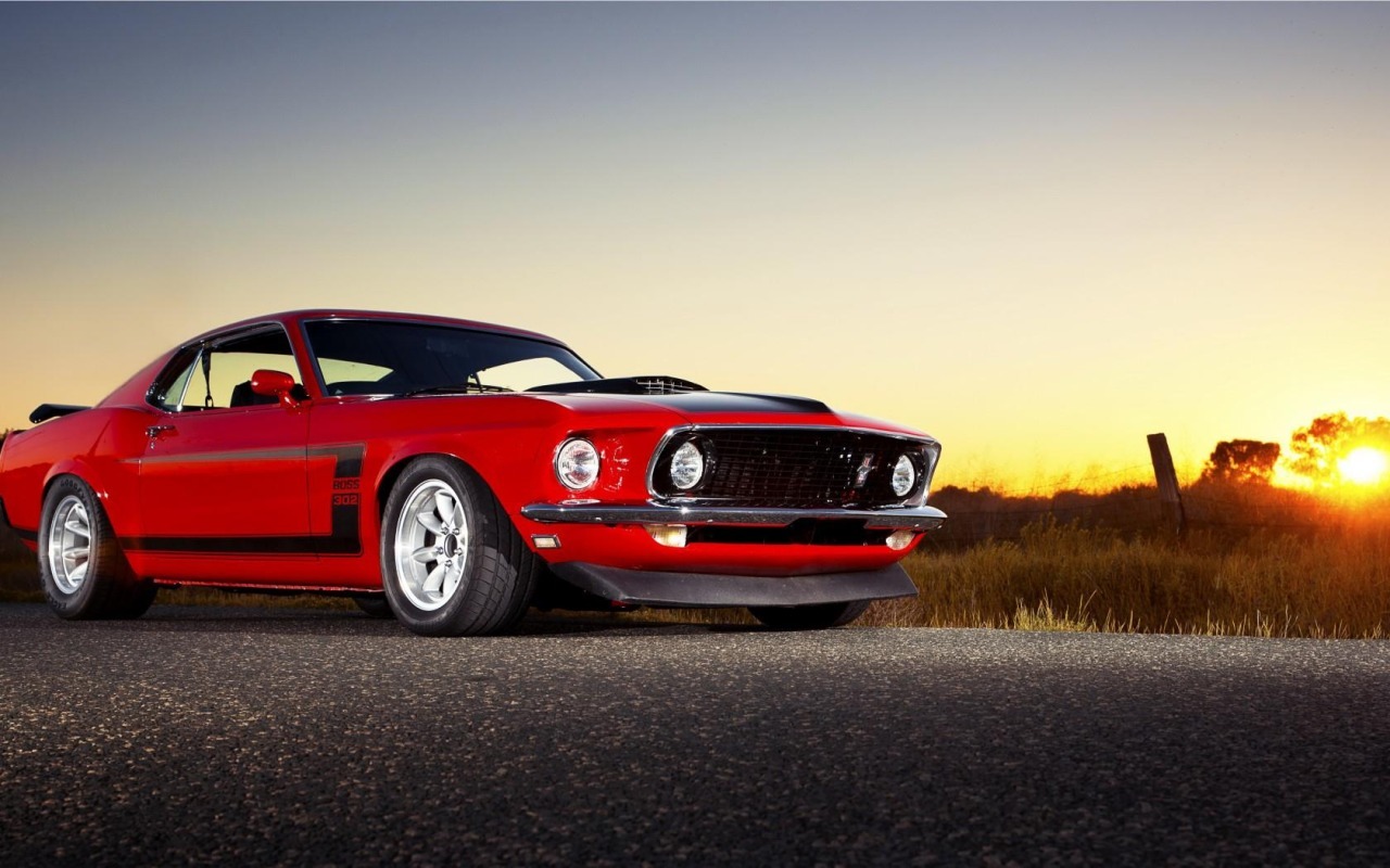 American Muscle Cars 