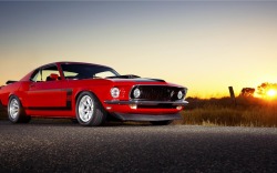American Muscle Cars 