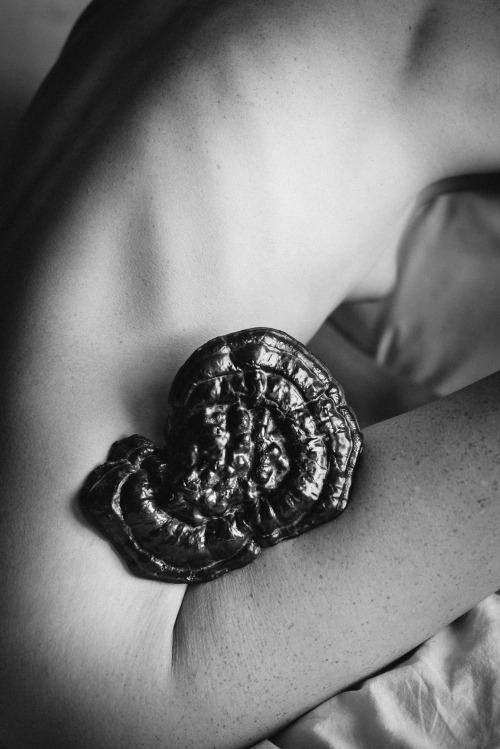 tmpls:  alveoliphotography:  Lacquer and stone. November, 2014.  tmpls X Alveoli Photography    Reblogging OK with all notes intact.  twitter | instagram | flickr | website/prints  Me by Alveoli Photography