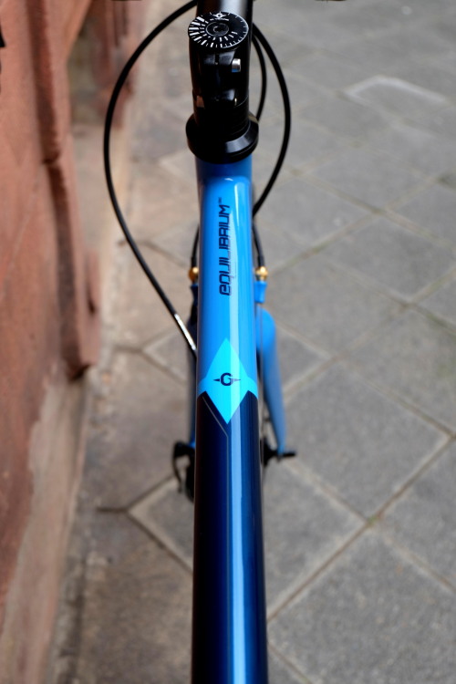 larsvogel:  2016 genesis bikes equilibrium disc 10 (large)