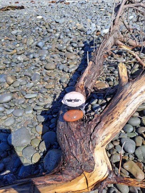 He Found A Special Egg (a Rock, Don't Tell Him)!