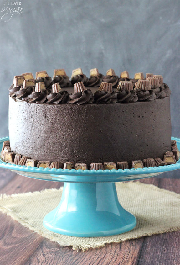 hungryfatman:bigcutieellie:sweetoothgirl:  Peanut Butter Chocolate Mousse Cake  Oh