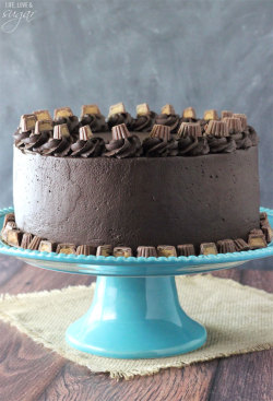 Hungryfatman:bigcutieellie:sweetoothgirl:  Peanut Butter Chocolate Mousse Cake  Oh