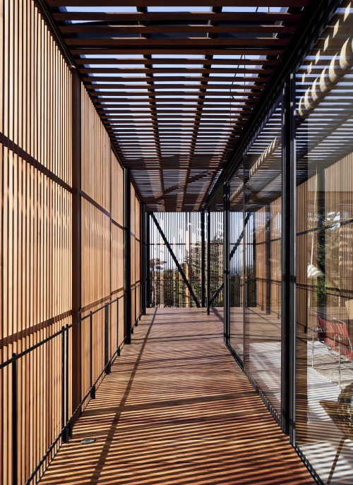 Engawa House, Zapallar, Chile,Designed by architects Santiago Valdivieso and Stefano Rolla