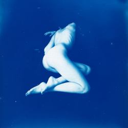 gacougnol:Aline Héau Cyanotype