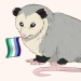kristoaster:Some pride opossums! 